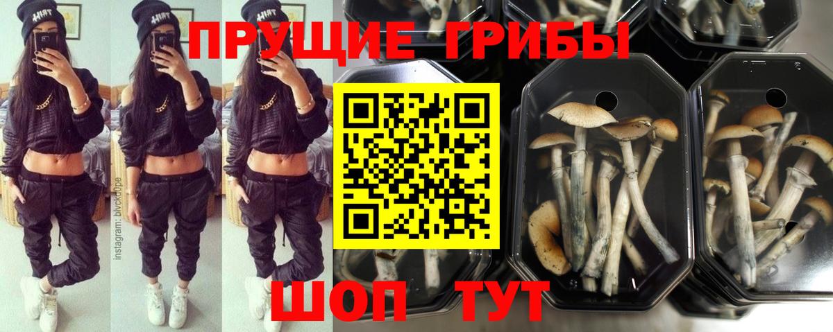 Грязи  Галлюциногенные грибы Psilocybe  Вход с VPN  Галлюциногенные грибы ЛСД 