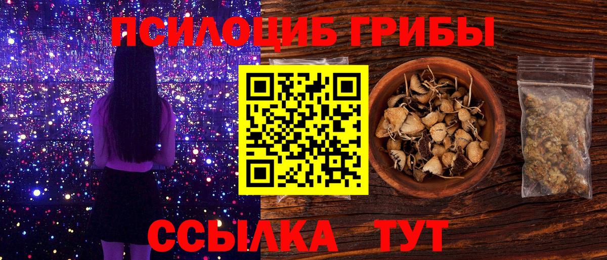 Псилоцибиновые грибы Cubensis Грязи
